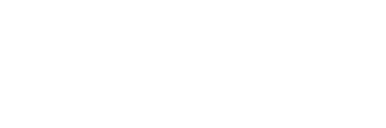 Wizard Agency Logo